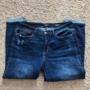 Plus Judy Blue Jeans